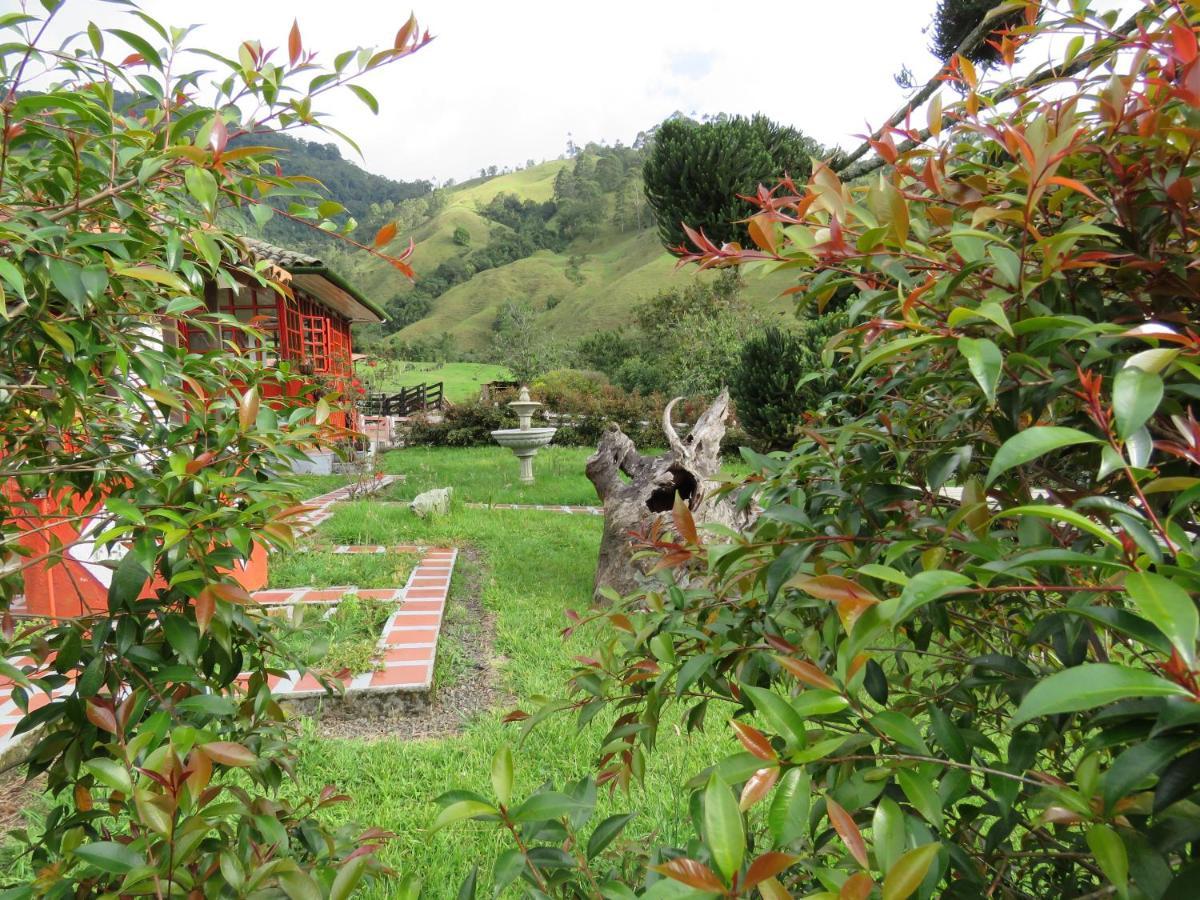 Ecohotel Pinohermoso Reserva Natural Séjour à la campagne