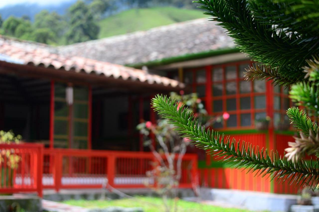 Ecohotel Pinohermoso Reserva Natural