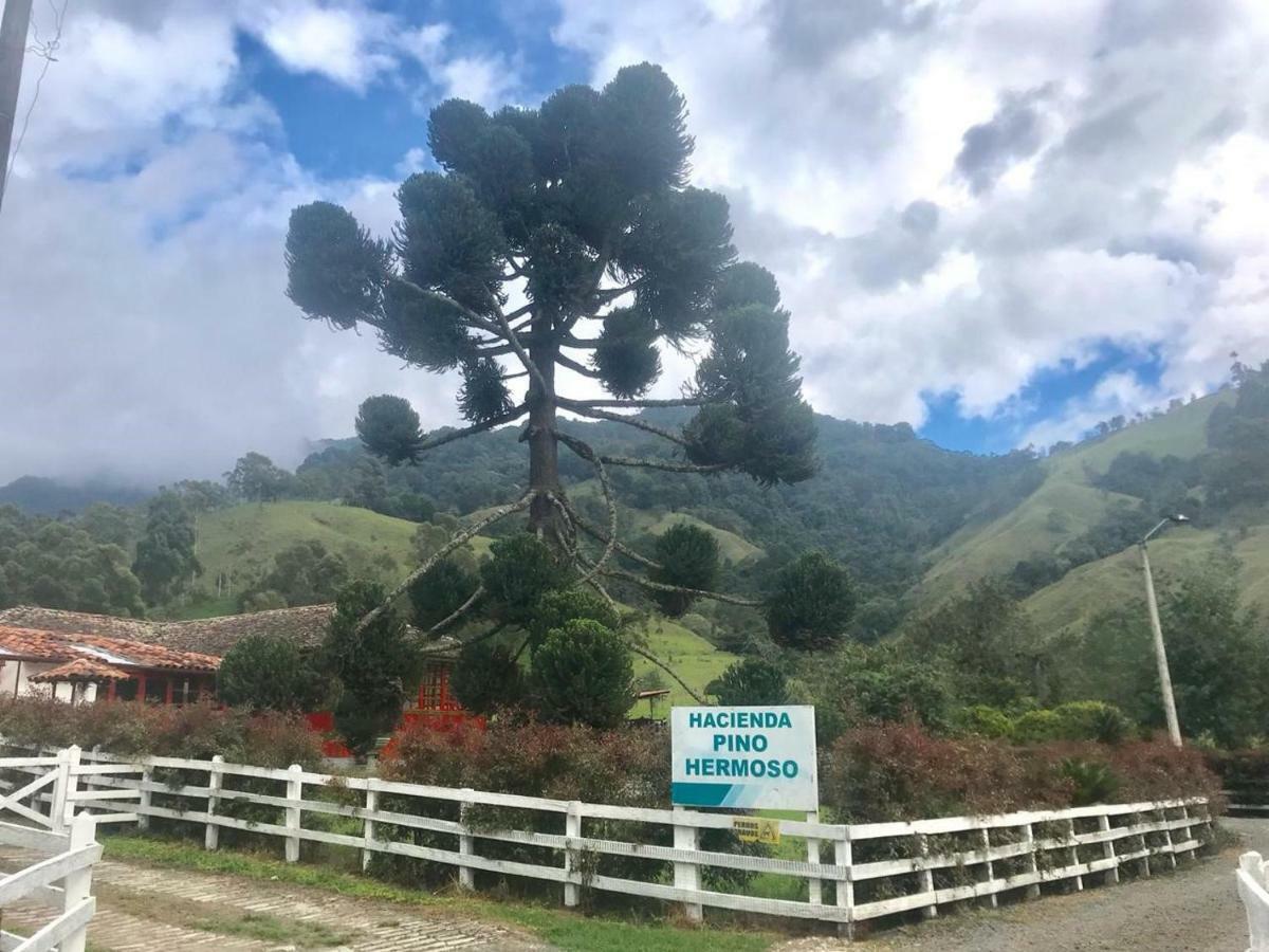 Ecohotel Pinohermoso Reserva Natural Séjour à la campagne